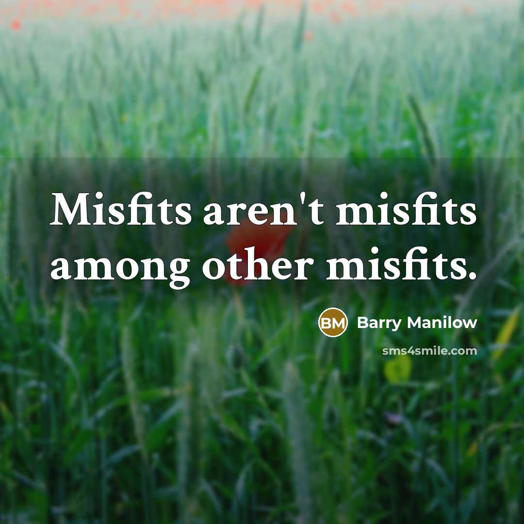 “Misfits aren't misfits among other misfits.…” quote by Barry Manilow