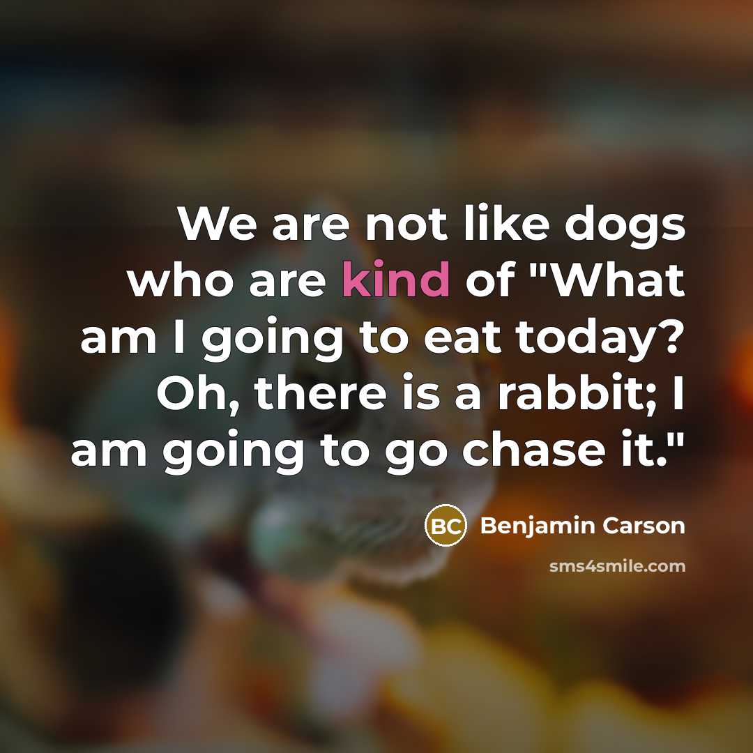 “We are not like dogs who are kind of "What am I going to eat today? Oh, there is a rabbit; I am going to go chase it."” quote by Benjamin Carson