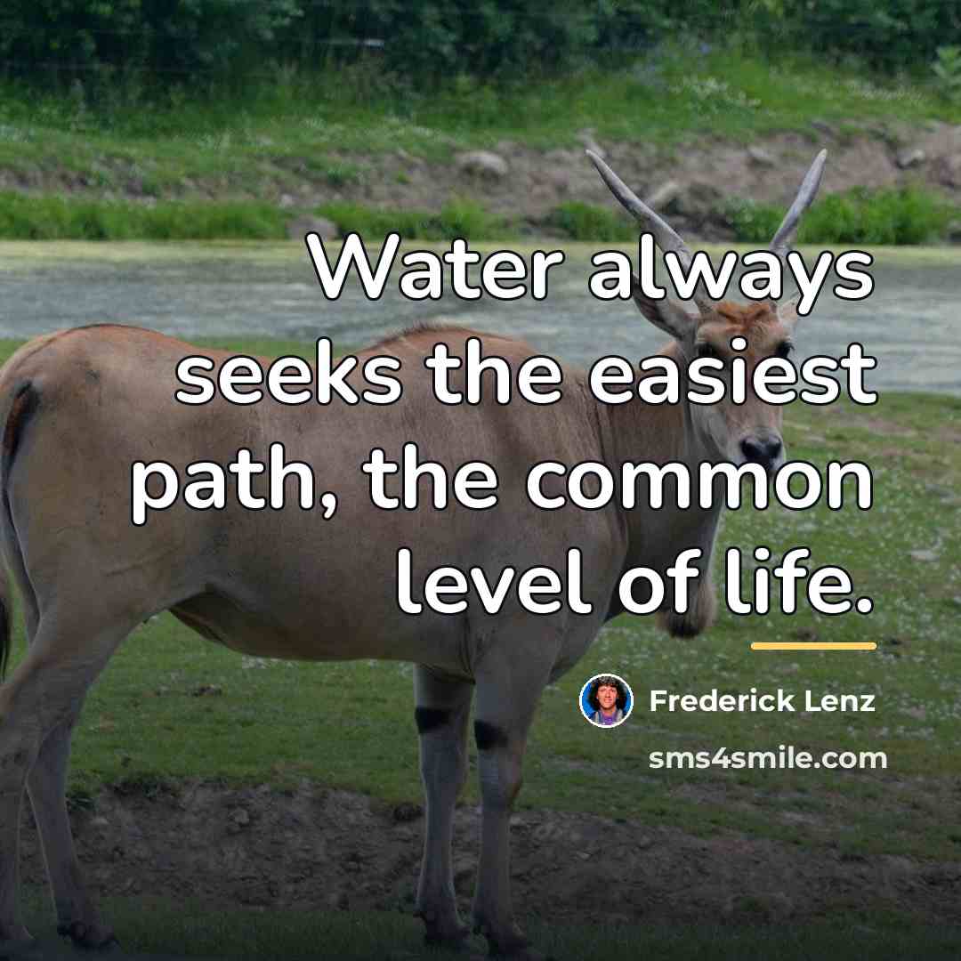 “Water always seeks the easiest path, the common level of…” quote by Frederick Lenz