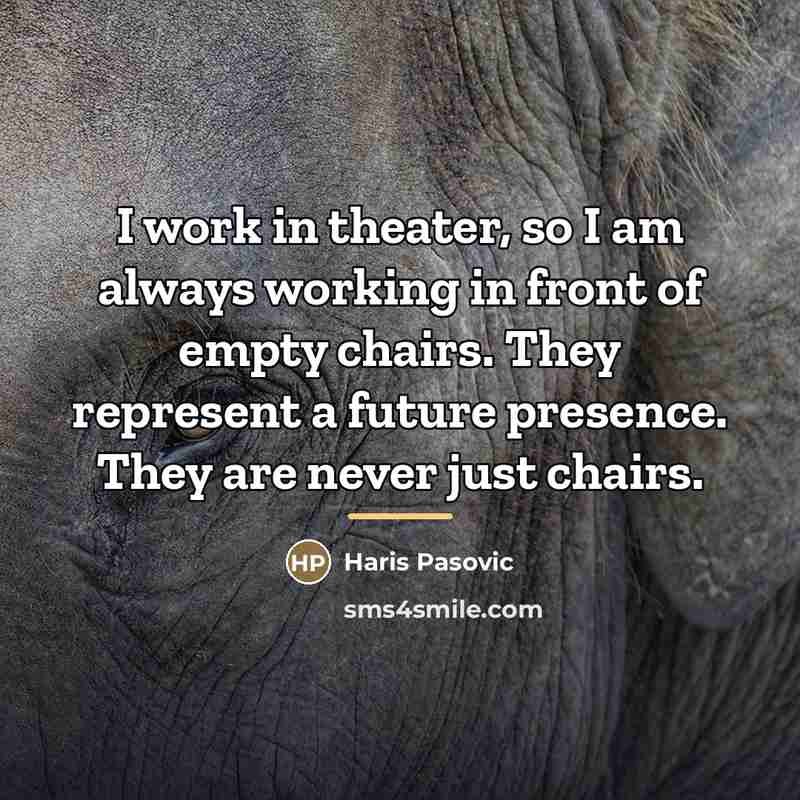 “I work in theater, so I am always working in…” quote by Haris Pasovic
