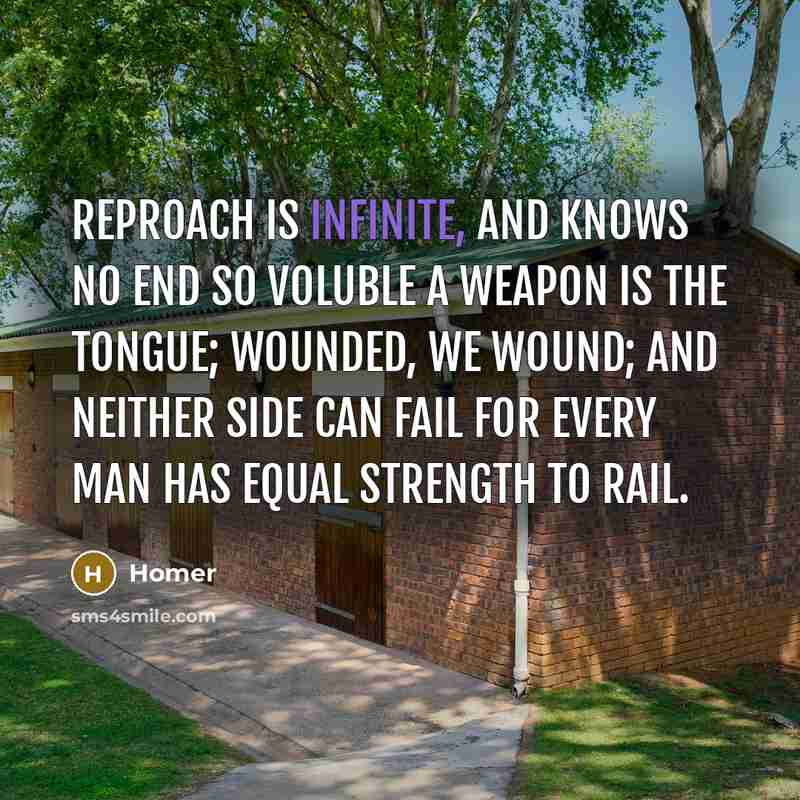 “Reproach is infinite, and knows no end So voluble a…” quote by Homer