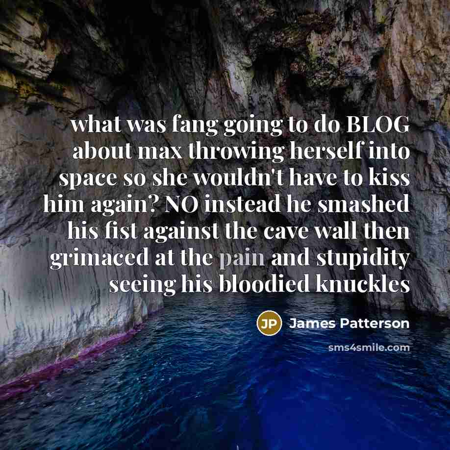 “what was fang going to do BLOG about max throwing…” quote by James Patterson