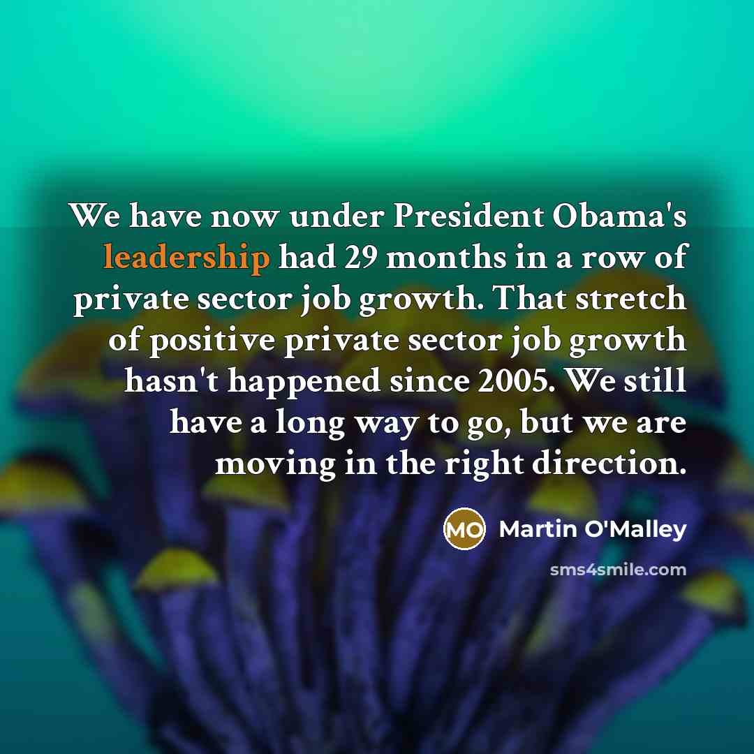 “We have now under President Obama's leadership had 29 months…” quote by Martin O'Malley