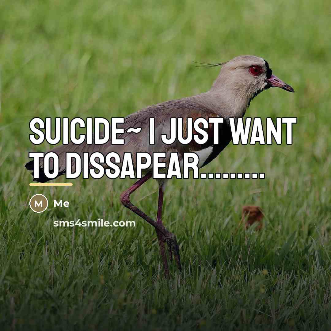 “SUICIDE~ I just want to dissapear.........…” quote by Me