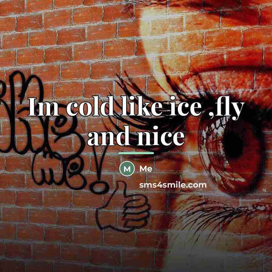 “Im cold like ice ,fly and nice…” quote by Me