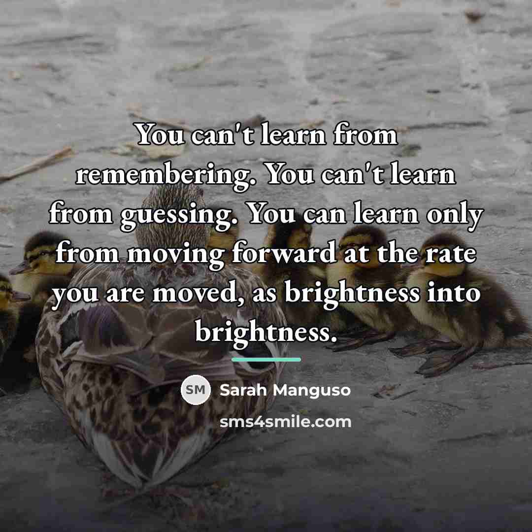 “You can't learn from remembering. You can't learn from guessing.…” quote by Sarah Manguso