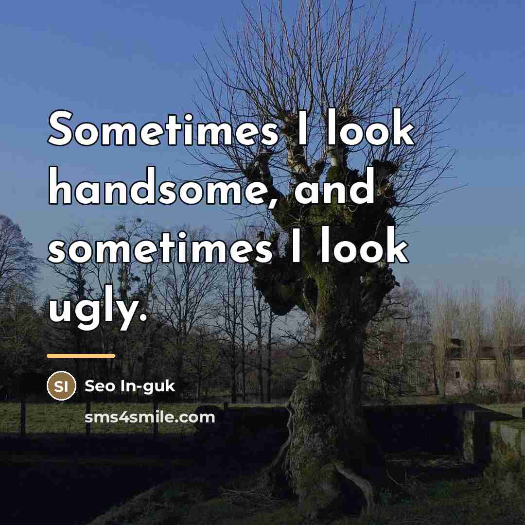 “Sometimes I look handsome, and sometimes I look ugly.…” quote by Seo In-guk