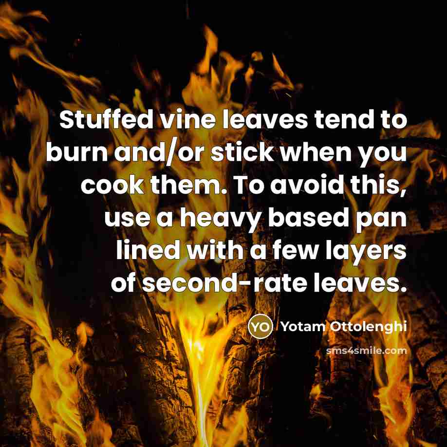 “Stuffed vine leaves tend to burn and/or stick when you…” quote by Yotam Ottolenghi