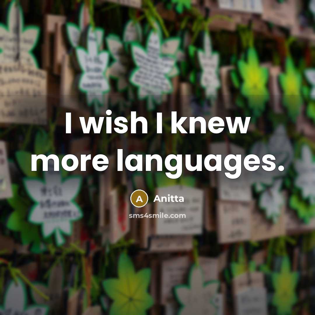“I wish I knew more languages.…” quote by Anitta