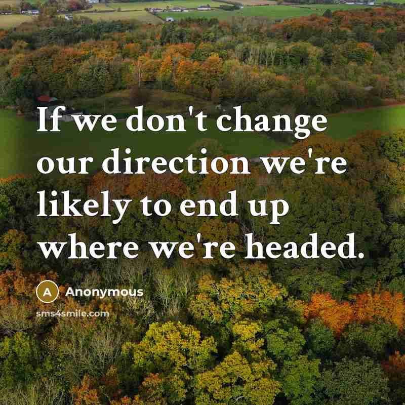 “If we don't change our direction we're likely to end…” quote by Anonymous