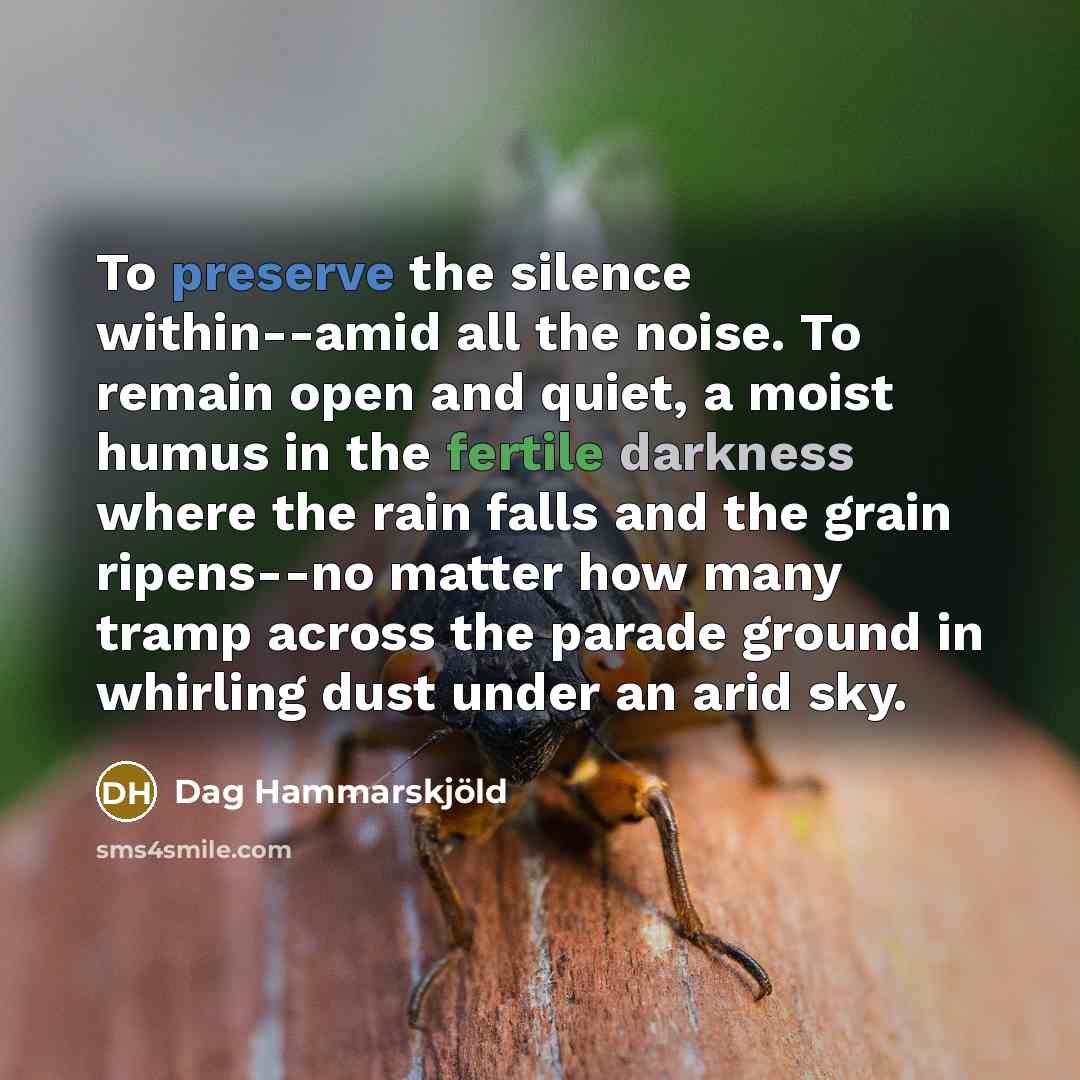 “To preserve the silence within--amid all the noise. To remain…” quote by Dag Hammarskjold