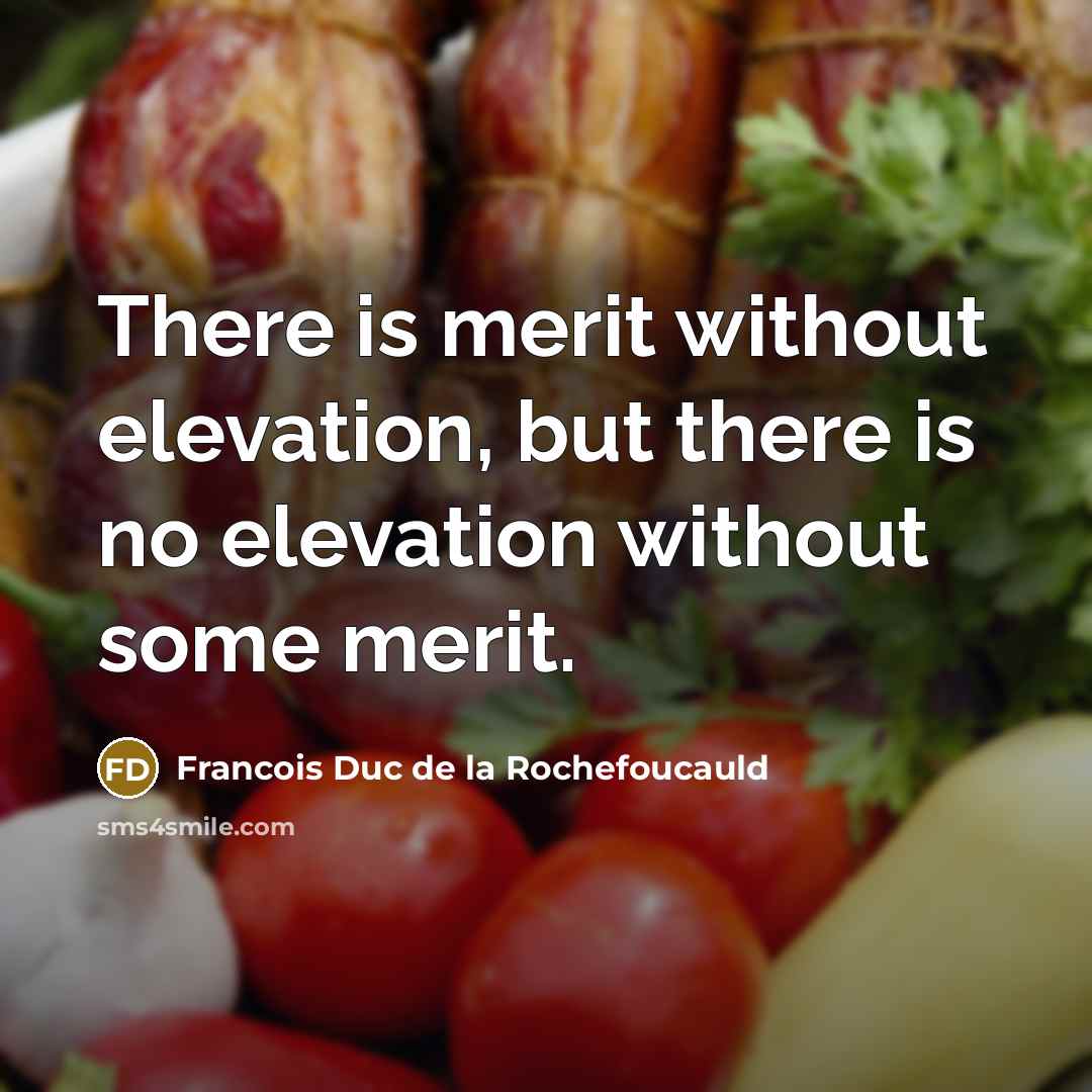 “There is merit without elevation, but there is no elevation without some merit.” quote by Francois Duc De La Rochefoucauld