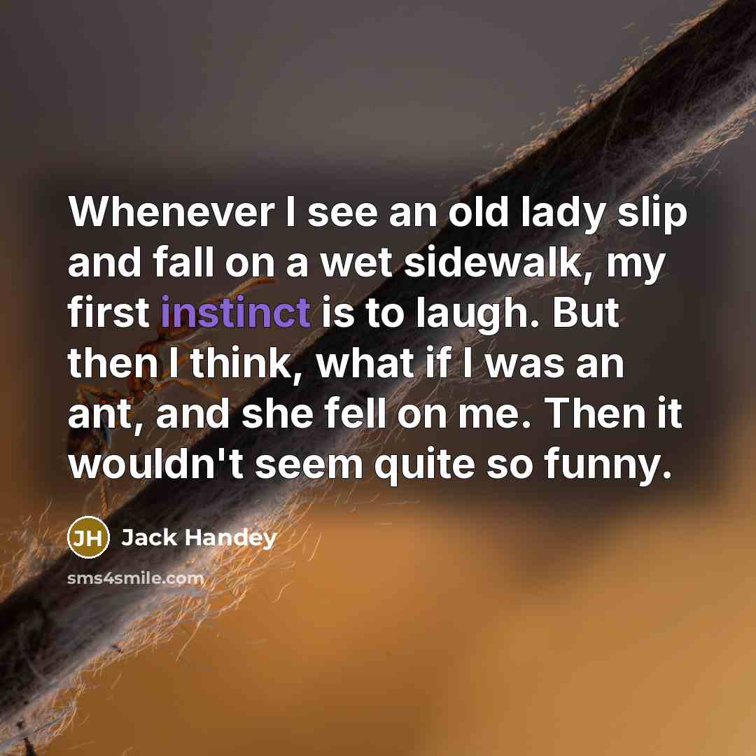 “Whenever I see an old lady slip and fall on…” quote by Jack Handey