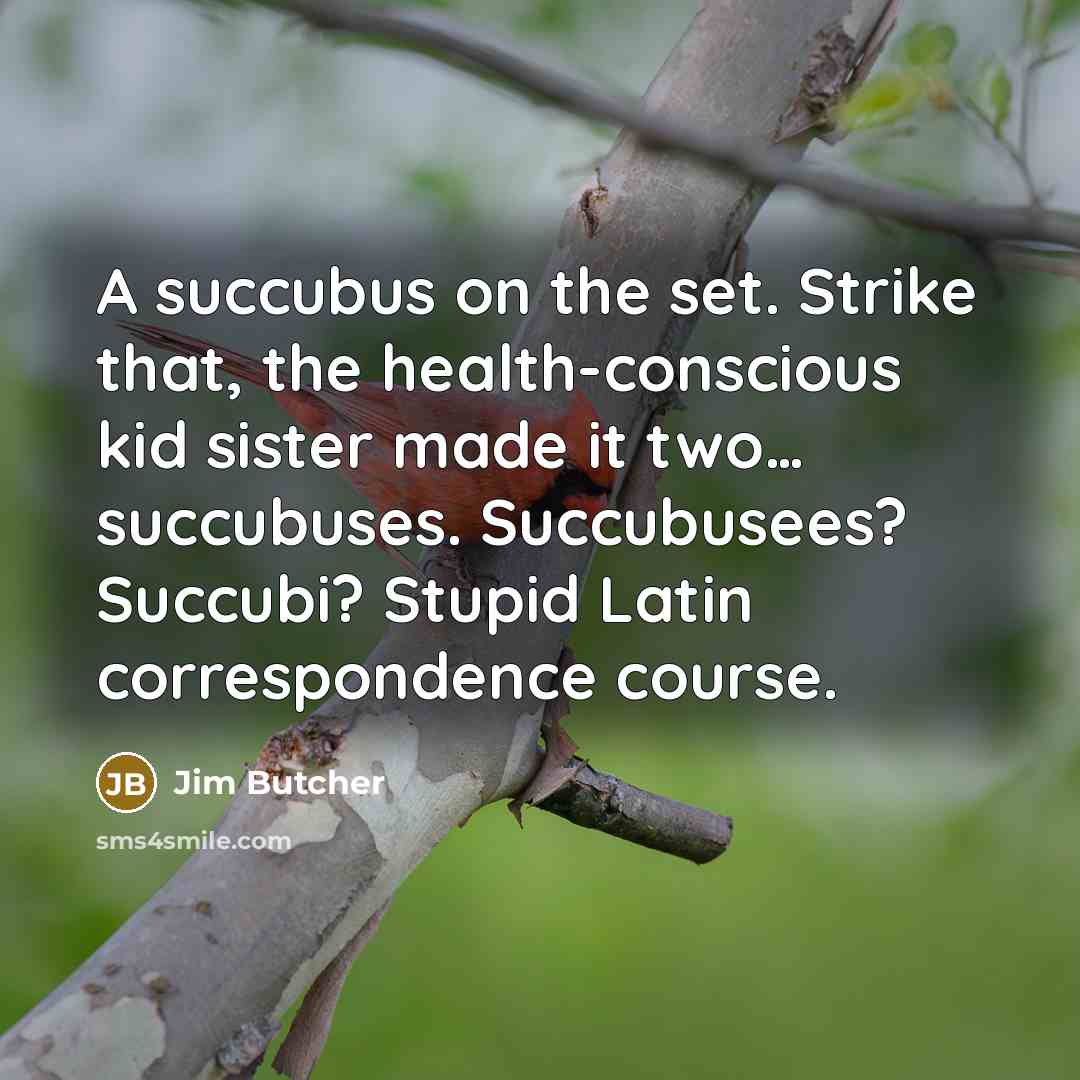 “A succubus on the set. Strike that, the health-conscious kid…” quote by Jim Butcher