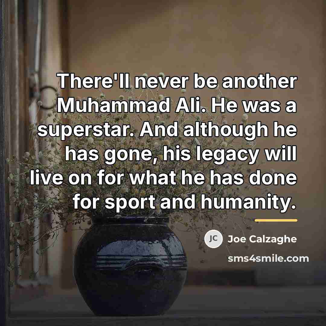 “There'll never be another Muhammad Ali. He was a superstar.…” quote by Joe Calzaghe