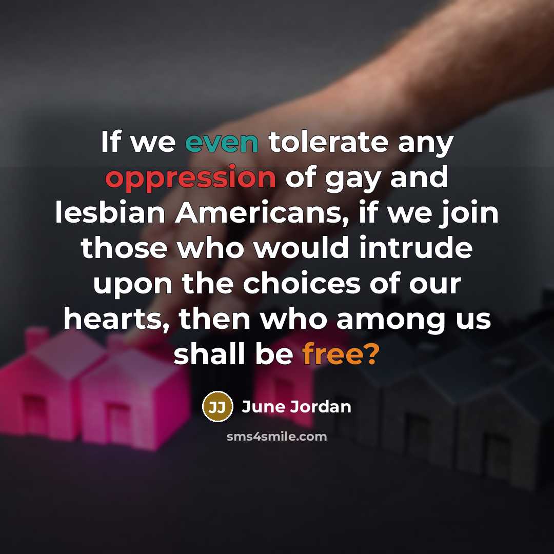 “If we even tolerate any oppression of gay and lesbian…” quote by June Jordan