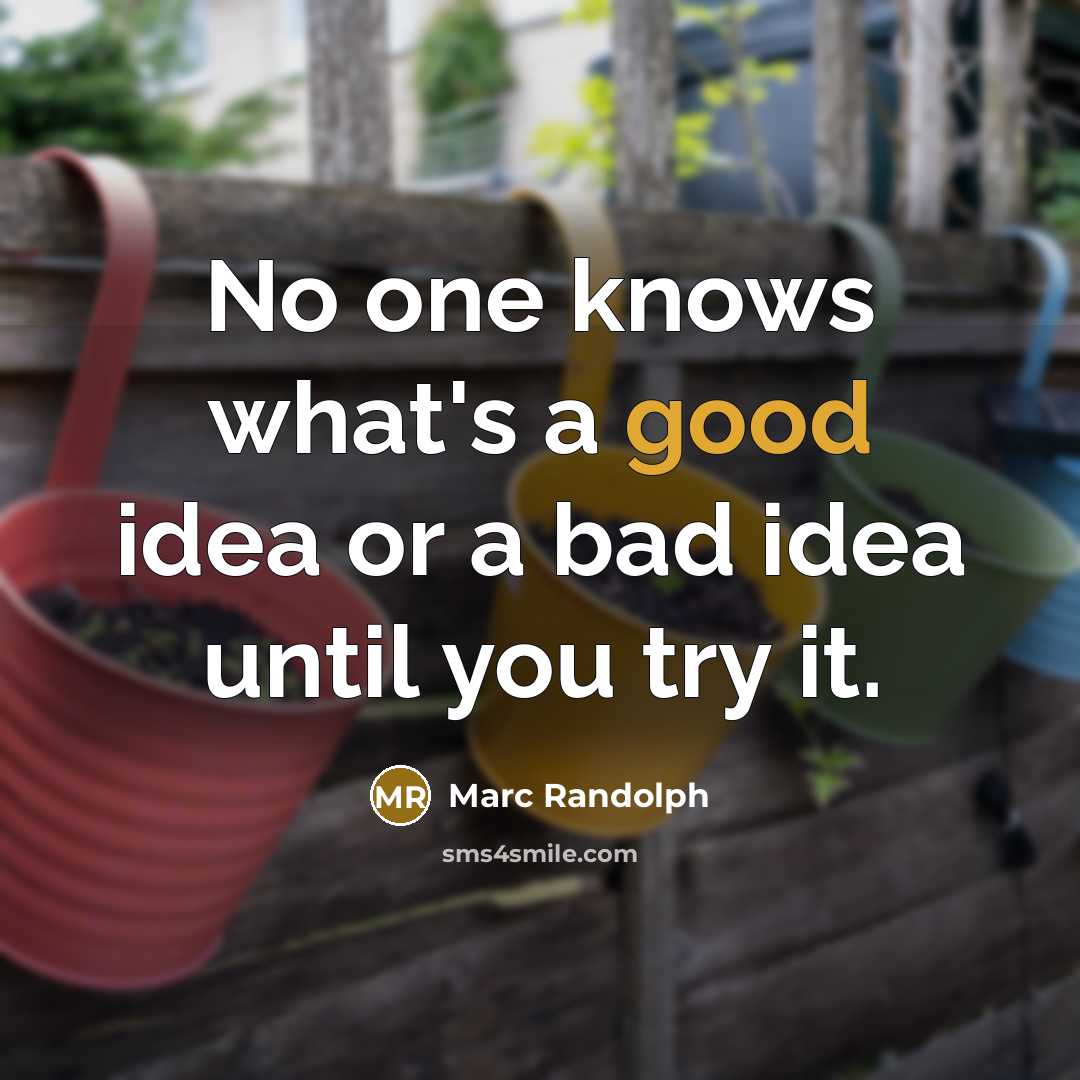 “No one knows what's a good idea or a bad…” quote by Marc Randolph