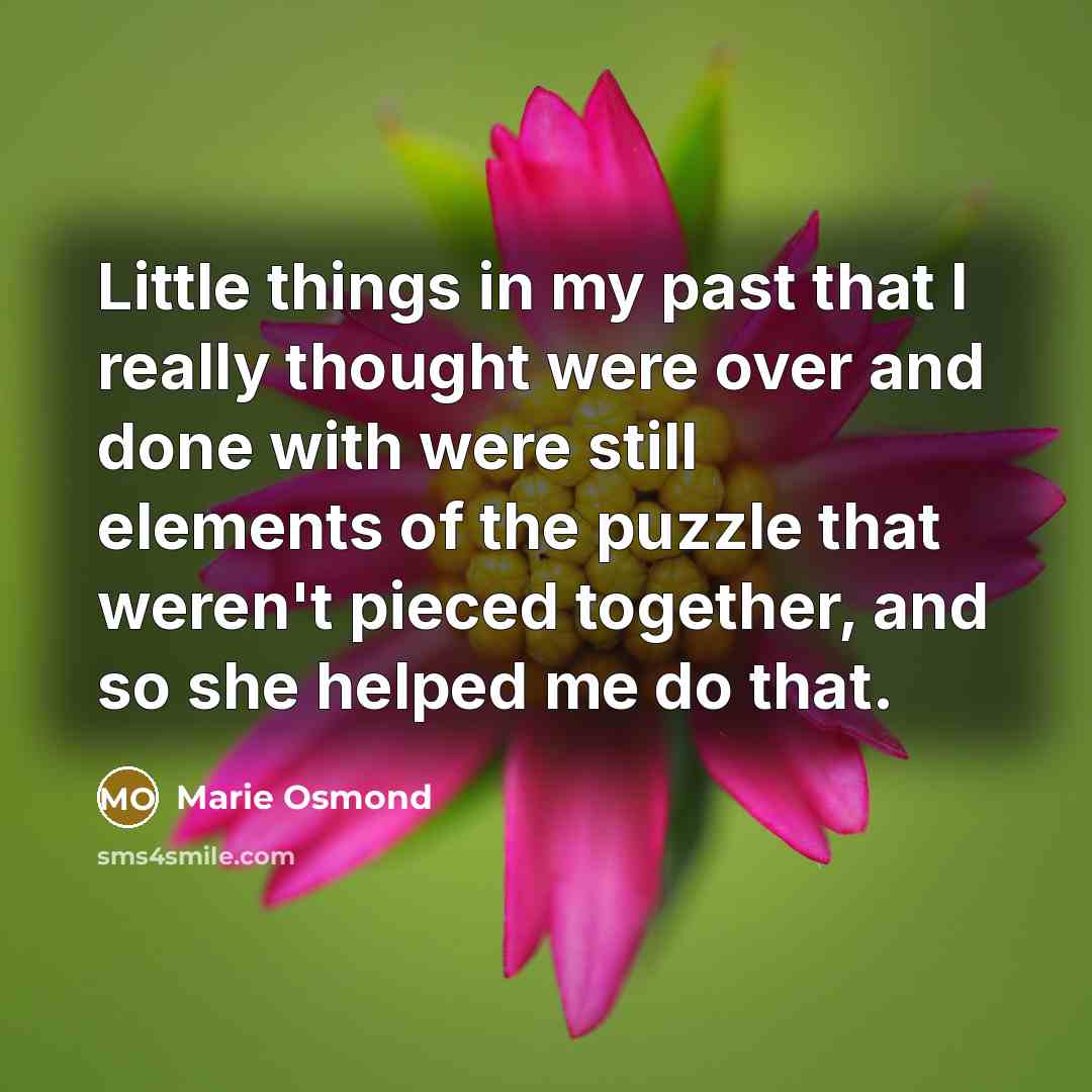 “Little things in my past that I really thought were…” quote by Marie Osmond