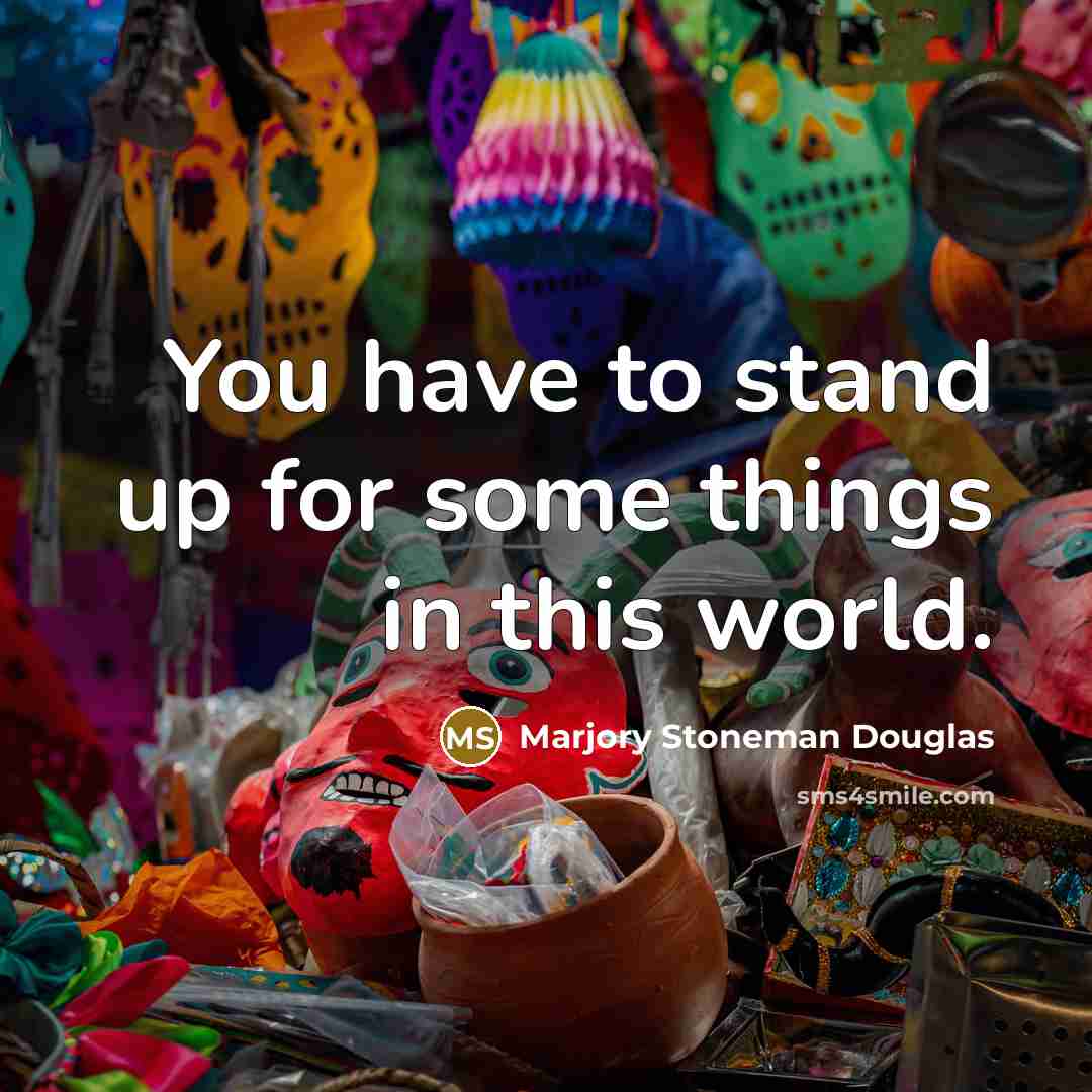 “You have to stand up for some things in this world.” quote by Marjory Stoneman Douglas