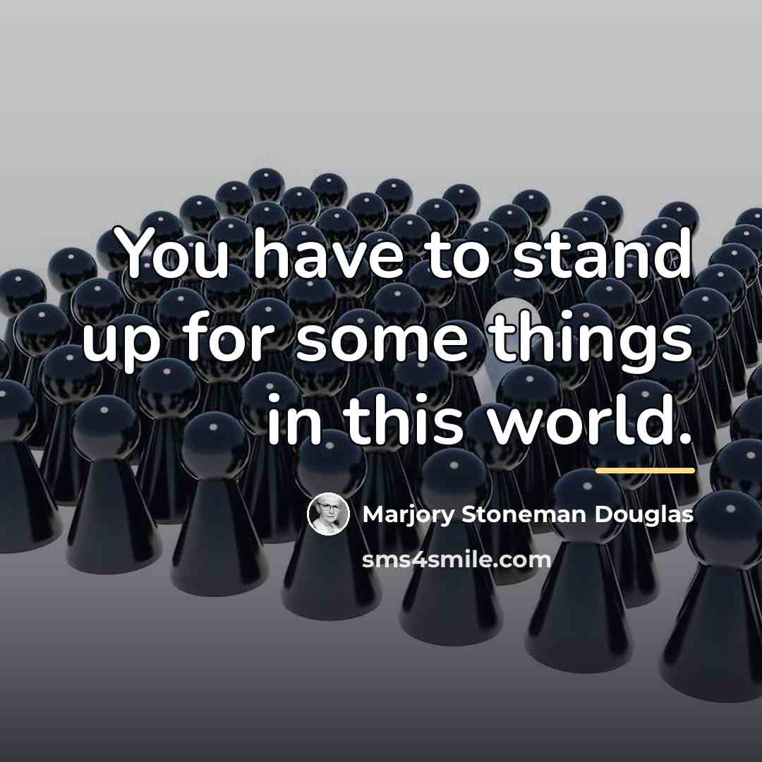 “You have to stand up for some things in this…” quote by Marjory Stoneman Douglas