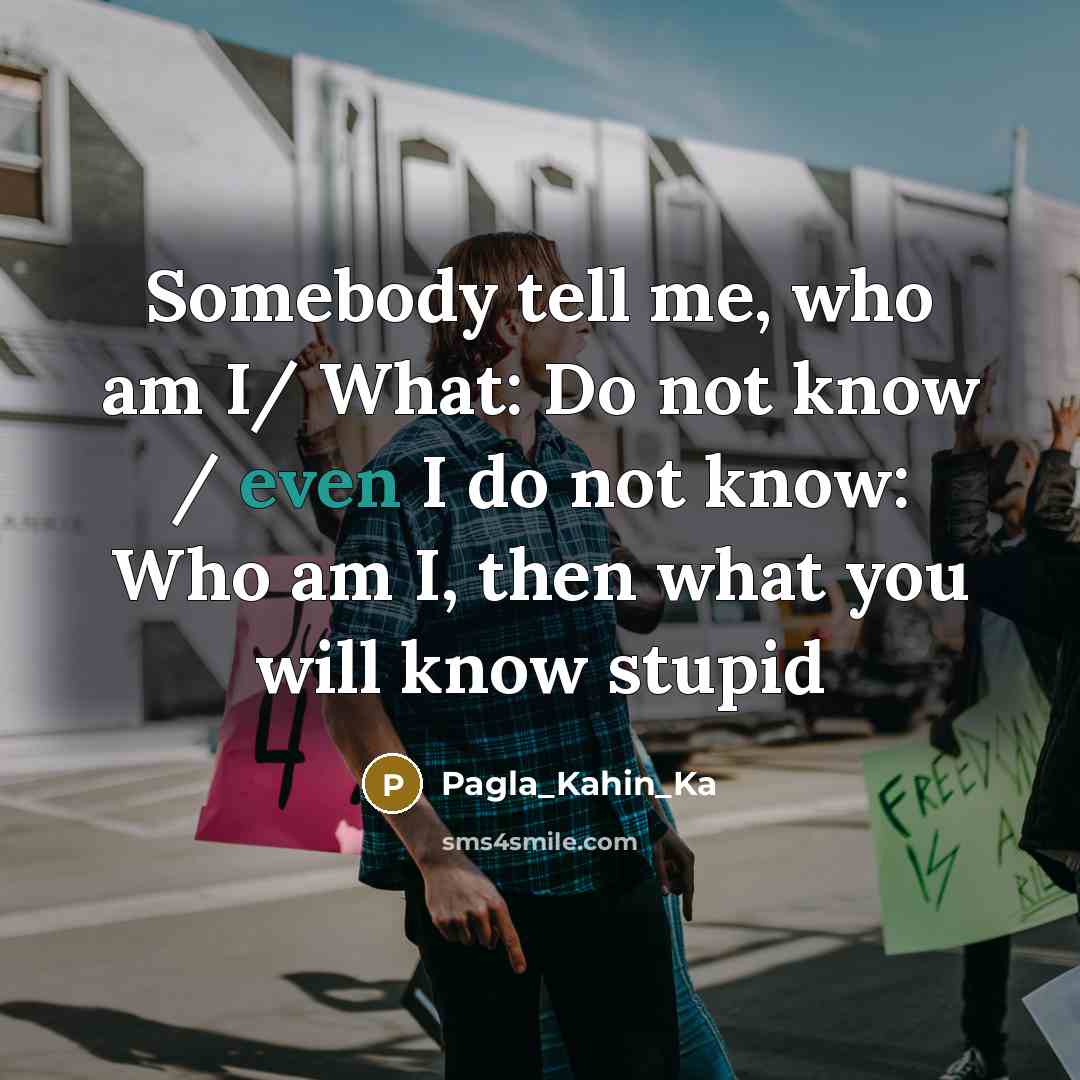“Somebody tell me, who am I/ What: Do not know…” quote by Pagla_Kahin_Ka