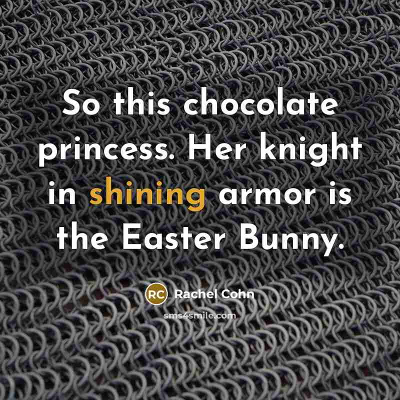 “So this chocolate princess. Her knight in shining armor is…” quote by Rachel Cohn