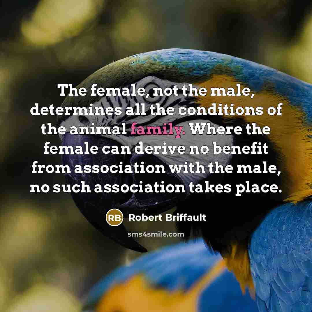 “The female, not the male, determines all the conditions of…” quote by Robert Briffault