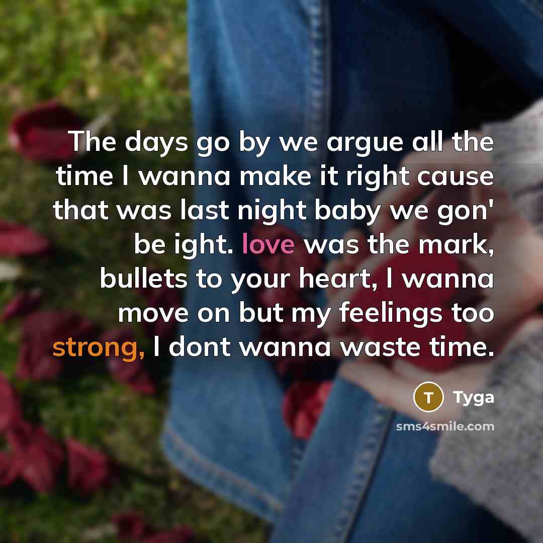 “The days go by we argue all the time I wanna make it right cause that was last night baby we gon' be ight. love was the mark, bullets to your heart, I wanna move on but my feelings too strong, I dont wanna waste time.” quote by Tyga