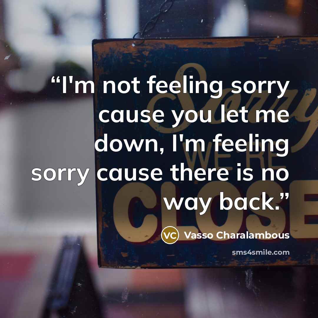 “I'm not feeling sorry cause you let me down, I'm feeling sorry cause there is no way back.” quote by Vasso Charalambous