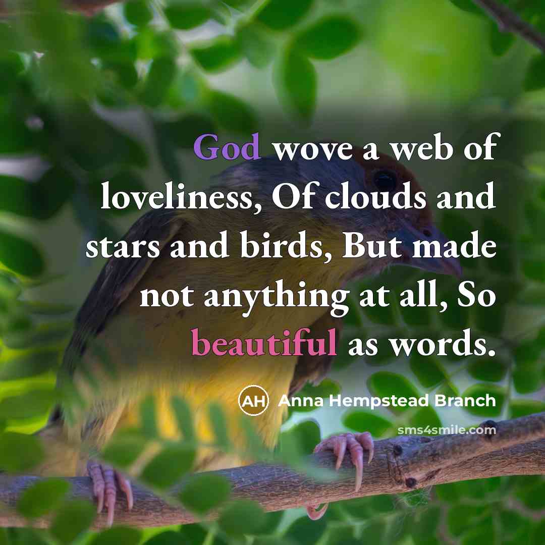 “God wove a web of loveliness, Of clouds and stars…” quote by Anna Hempstead Branch