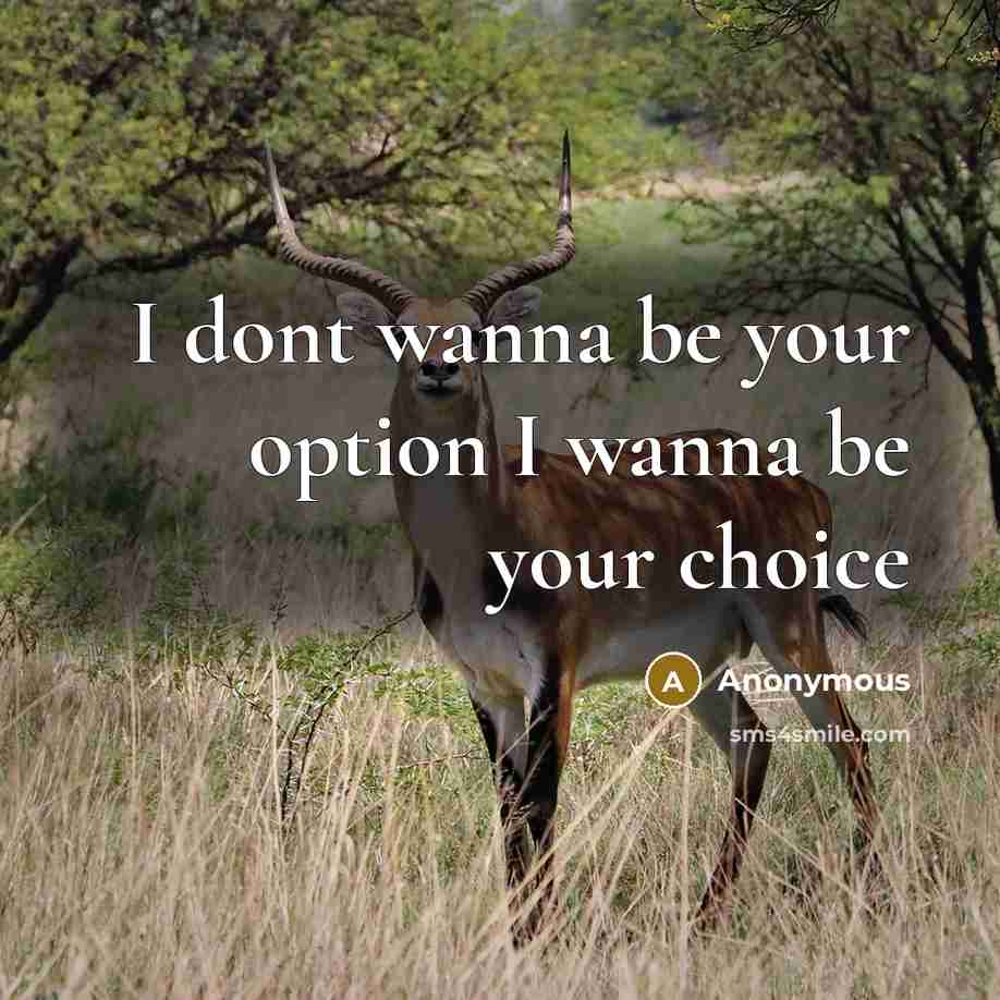 “I dont wanna be your option I wanna be your…” quote by Anonymous