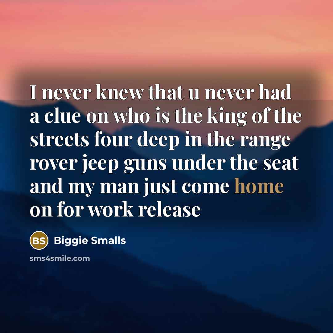 “I never knew that u never had a clue on…” quote by Biggie Smalls