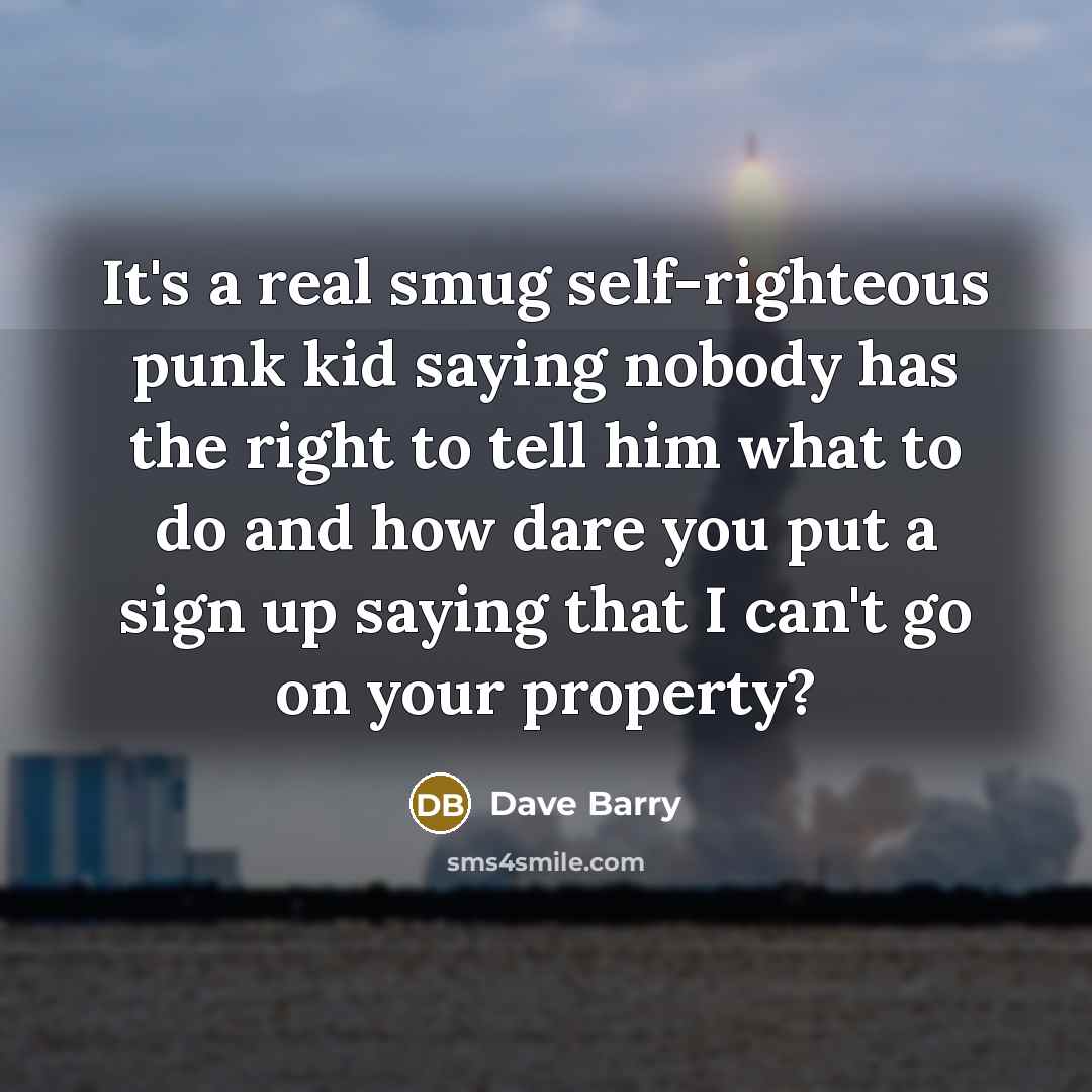 “It's a real smug self-righteous punk kid saying nobody has…” quote by Dave Barry