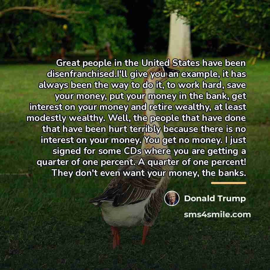 “Great people in the United States have been disenfranchised.I'll give…” quote by Donald Trump