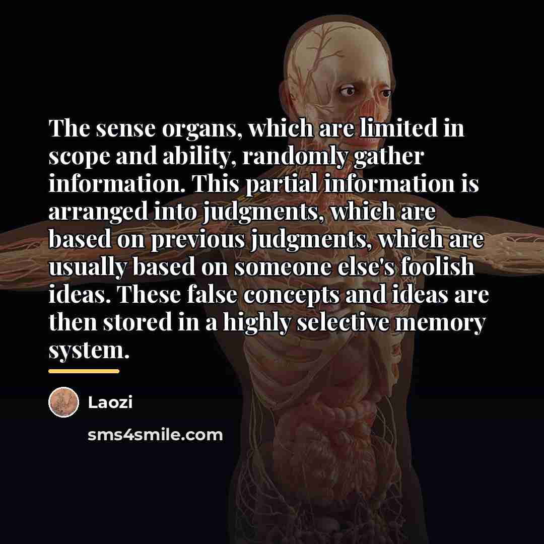 “The sense organs, which are limited in scope and ability,…” quote by Laozi
