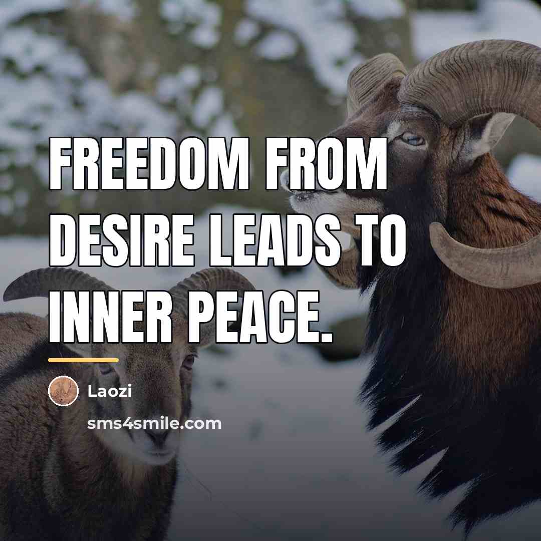 “Freedom from desire leads to inner peace.…” quote by Laozi