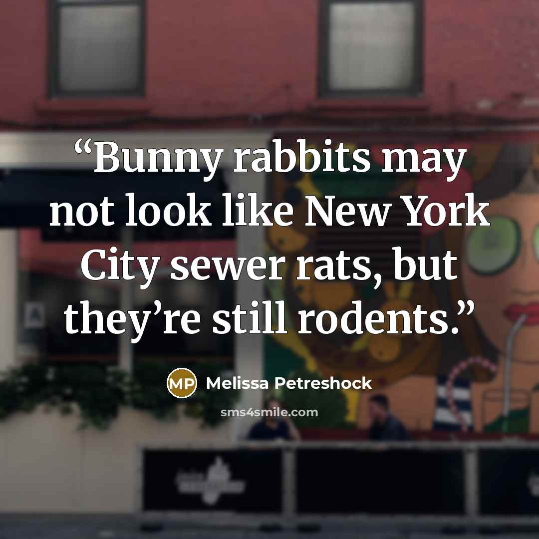 “Bunny rabbits may not look like New York City sewer rats, but they’re still rodents.” quote by Melissa Petreshock