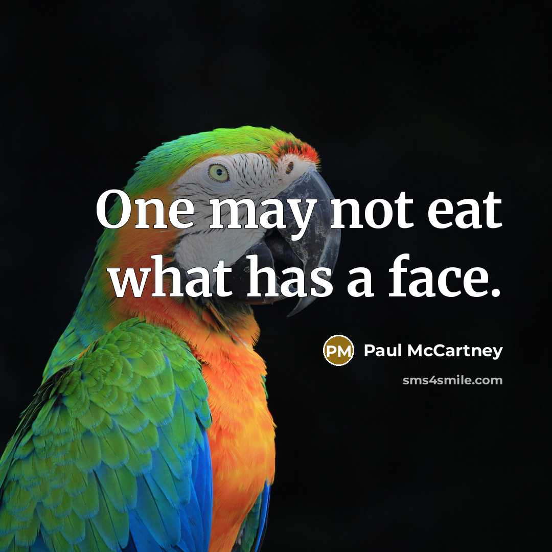 “One may not eat what has a face.…” quote by Paul McCartney