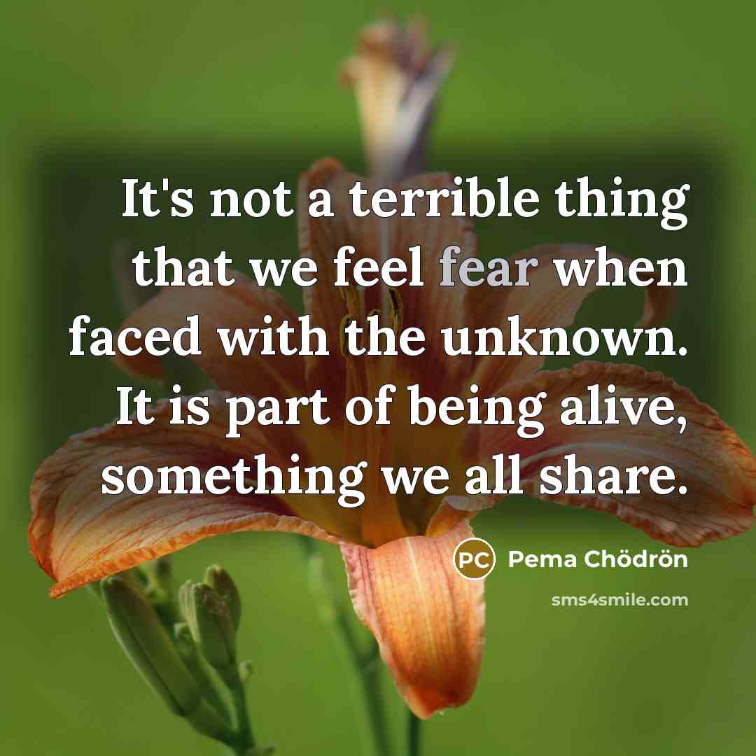 “It's not a terrible thing that we feel fear when…” quote by Pema Chodron