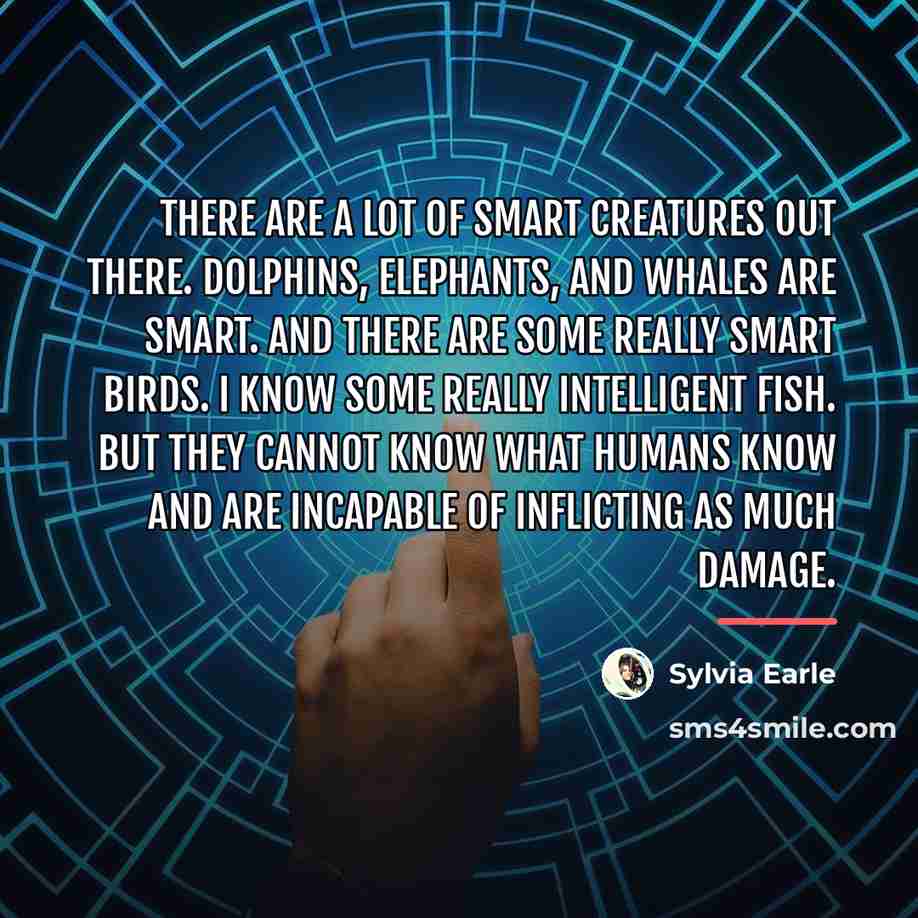 “There are a lot of smart creatures out there. Dolphins,…” quote by Sylvia Earle