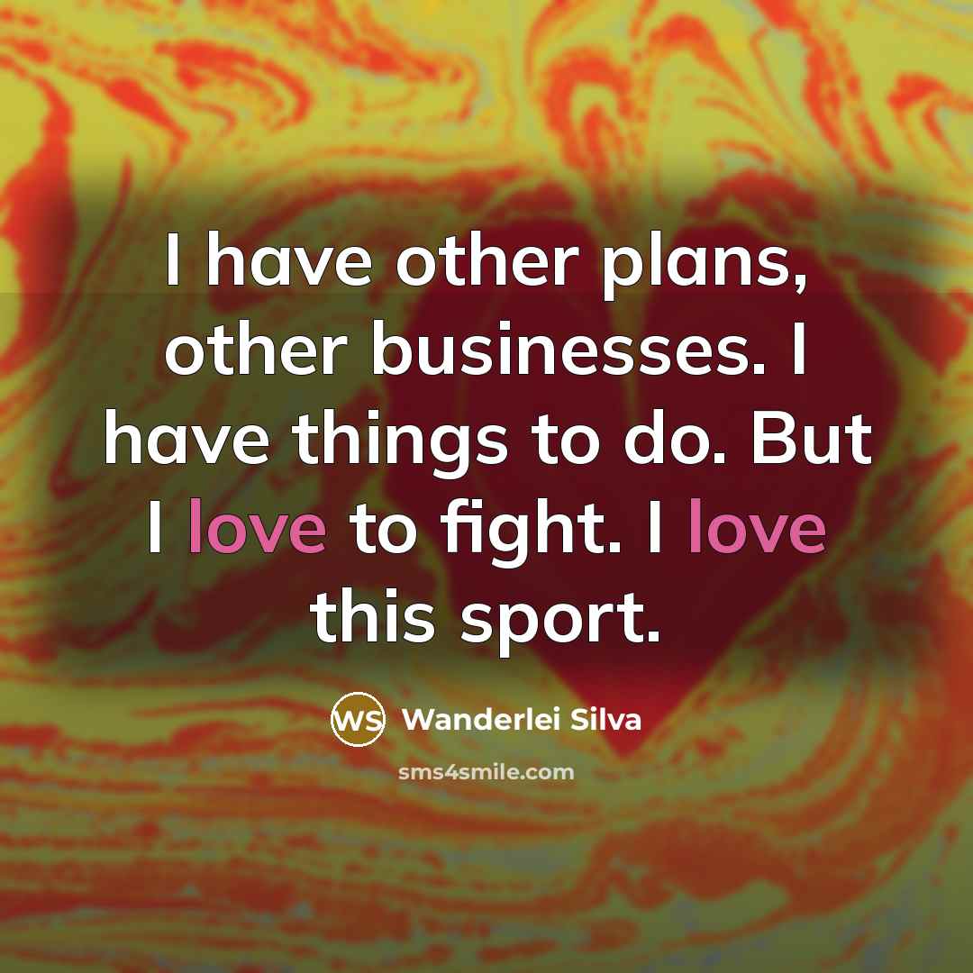 “I have other plans, other businesses. I have things to…” quote by Wanderlei Silva