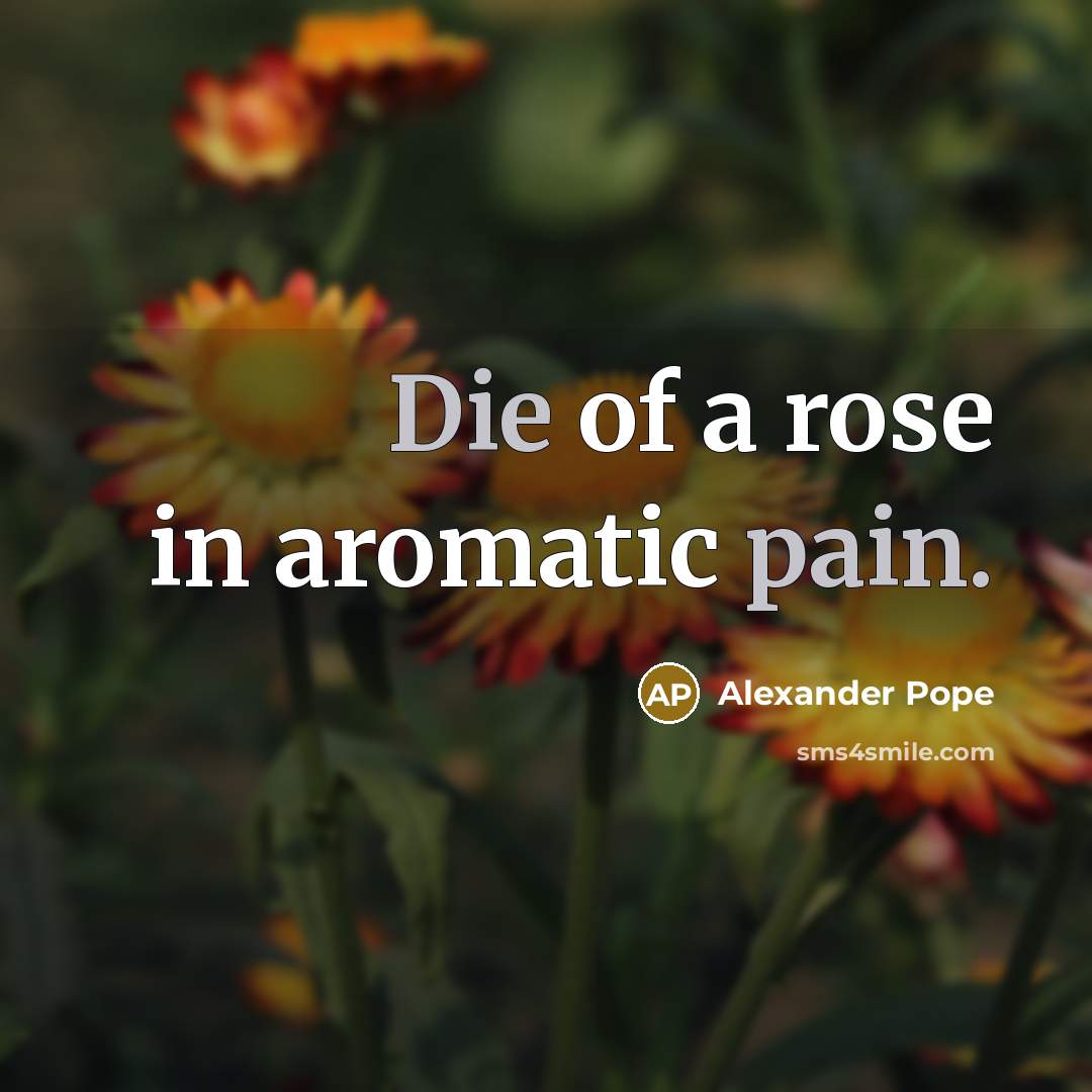 “Die of a rose in aromatic pain.…” quote by Alexander Pope