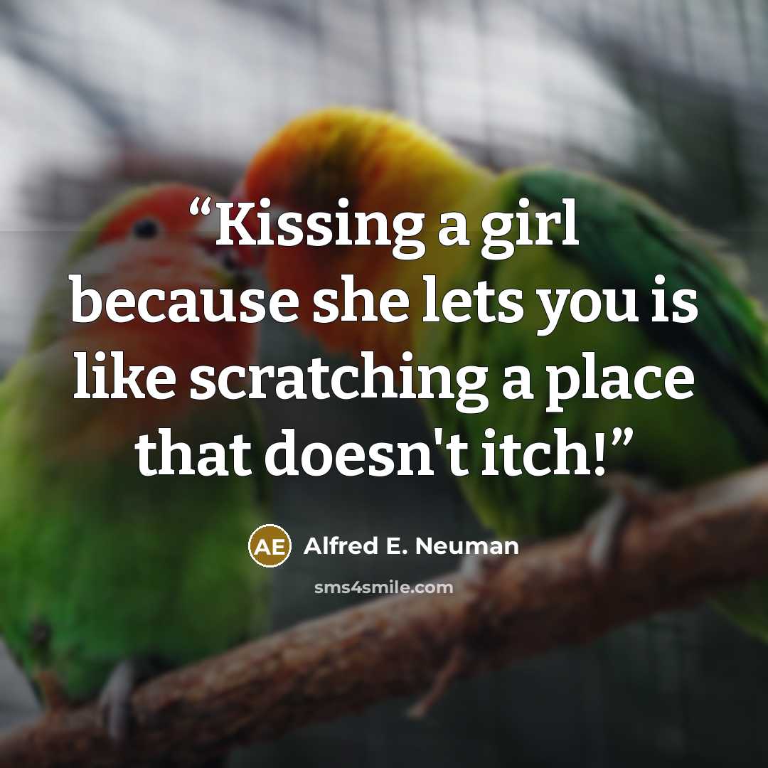 “Kissing a girl because she lets you is like scratching a place that doesn't itch!” quote by Alfred E. Neuman