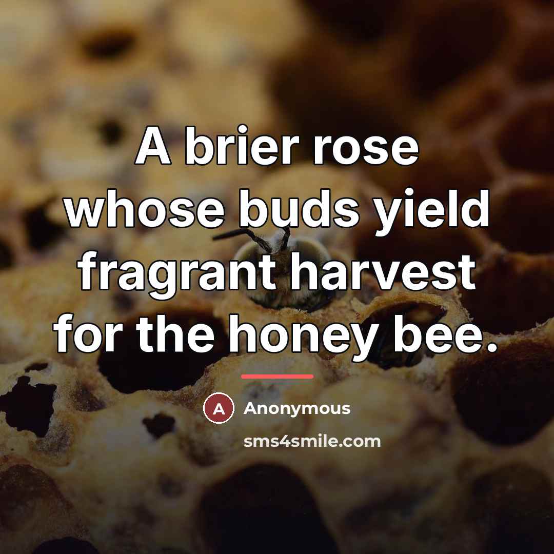 “A brier rose whose buds yield fragrant harvest for the…” quote by Anonymous