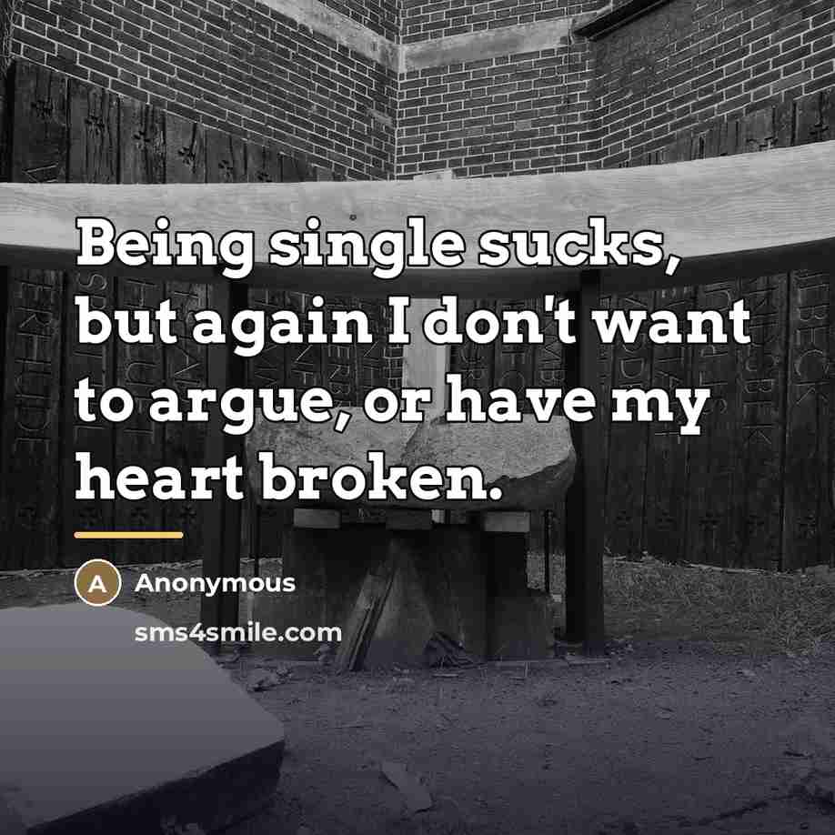 “Being single sucks, but again I don't want to argue,…” quote by Anonymous