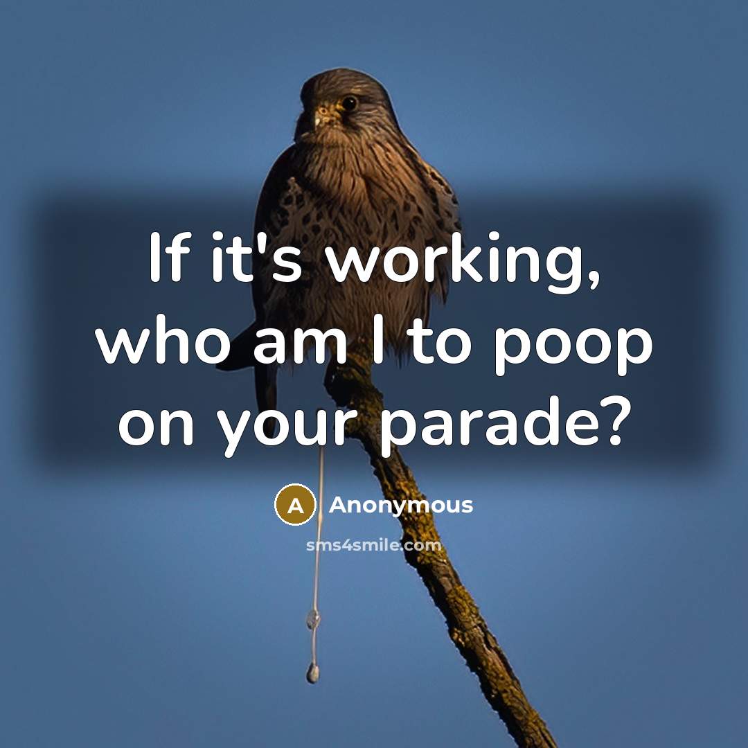 “If it's working, who am I to poop on your…” quote by Anonymous