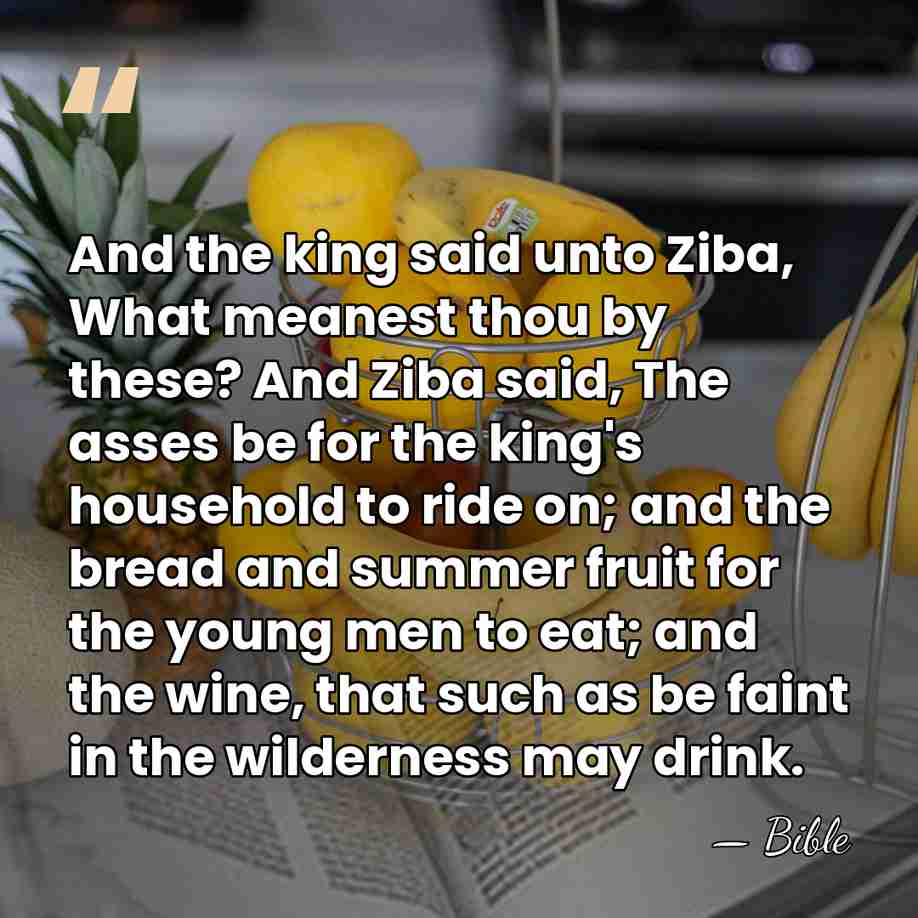And the king said unto Ziba, What meanest thou by these? And&hellip; - Bible