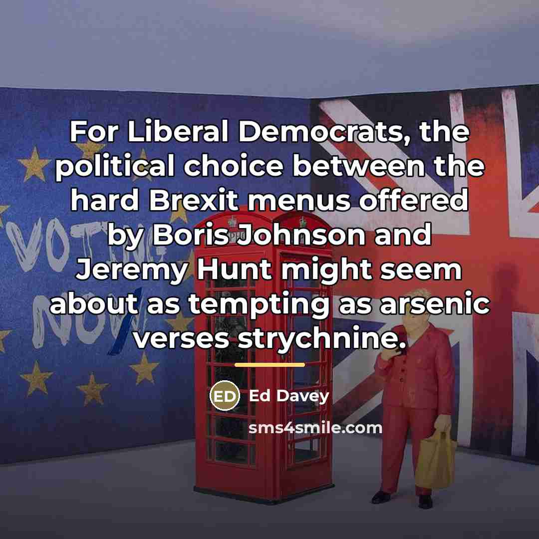 “For Liberal Democrats, the political choice between the hard Brexit…” quote by Ed Davey