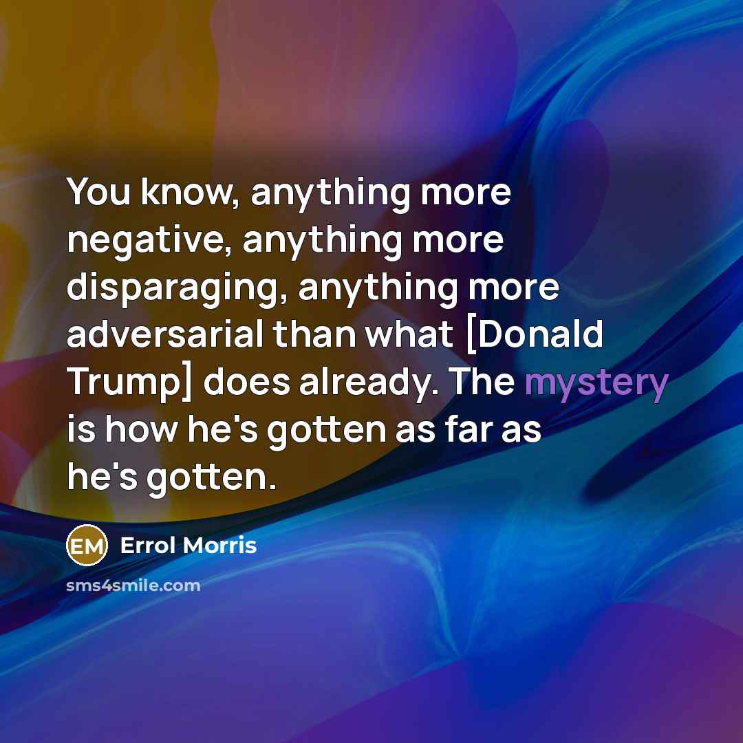 “You know, anything more negative, anything more disparaging, anything more…” quote by Errol Morris