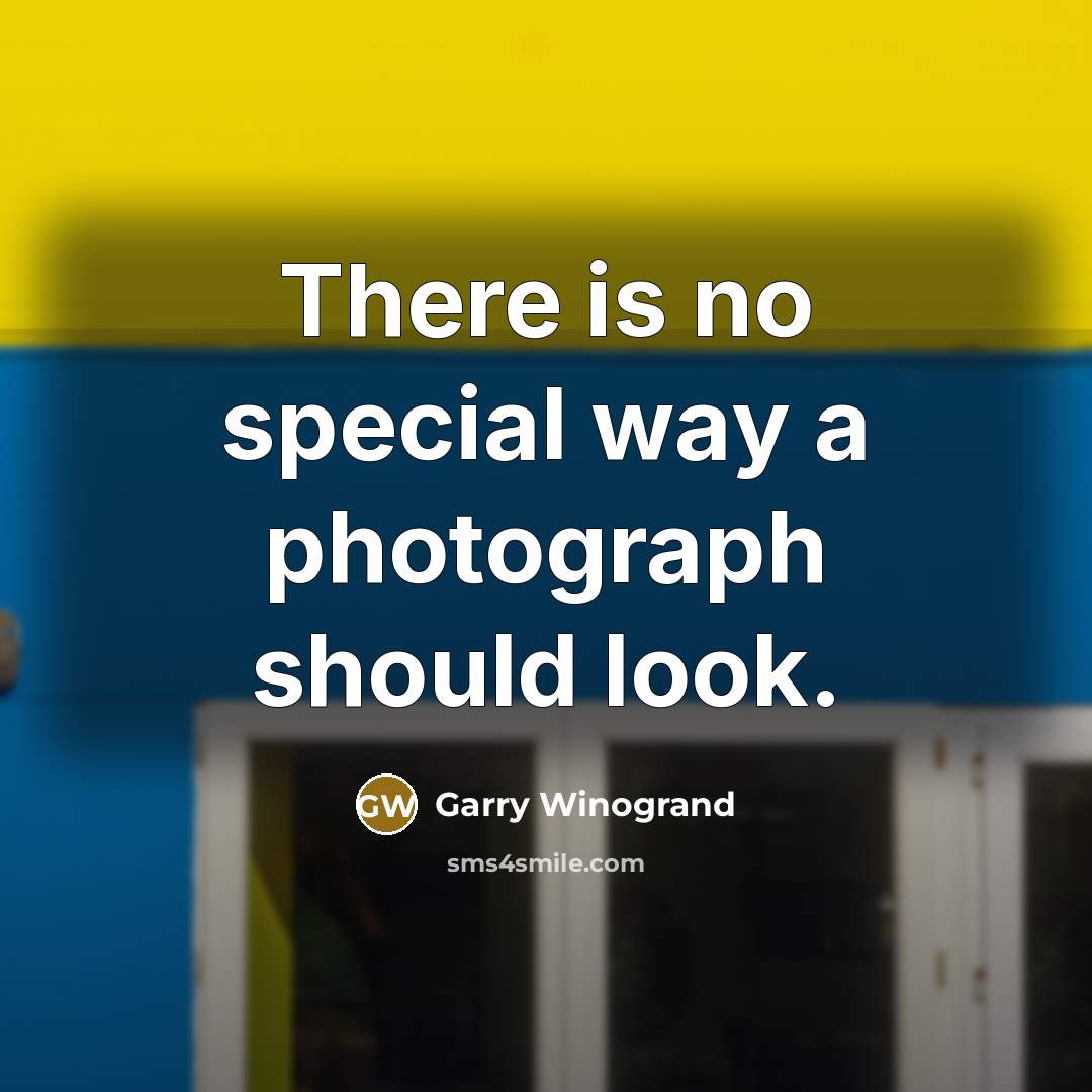 “There is no special way a photograph should look.…” quote by Garry Winogrand